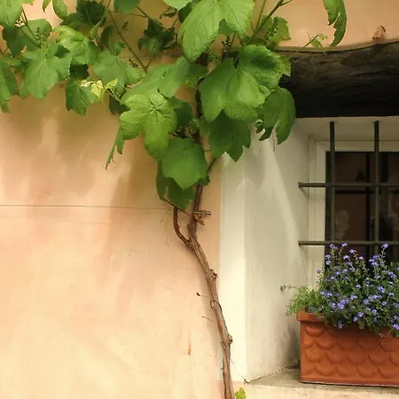 Casa Don Bosco Semesterbostad *